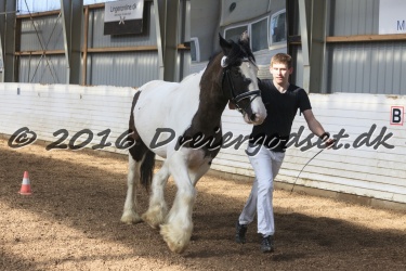 Cesar Arenlund 033