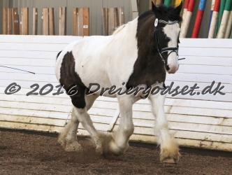 Cesar Arenlund 034