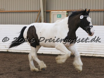 Cesar Arenlund 035