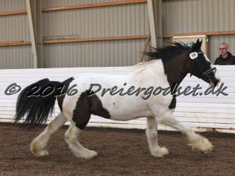 Cesar Arenlund 037