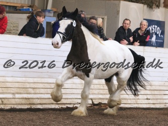 Cesar Arenlund 040