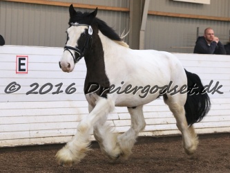 Cesar Arenlund 042