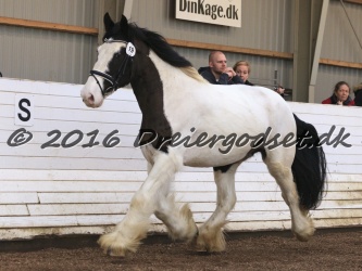 Cesar Arenlund 044