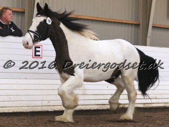 Cesar Arenlund 045