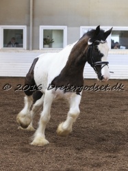 Cesar Arenlund 050