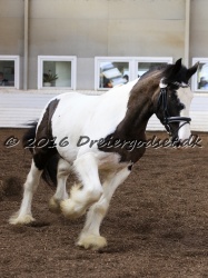 Cesar Arenlund 051