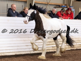 Cesar Arenlund 053