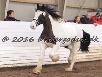 Cesar Arenlund 054