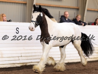 Cesar Arenlund 055