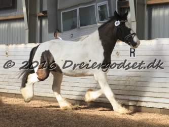 Cesar Arenlund 058