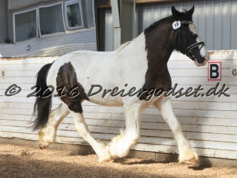 Cesar Arenlund 059