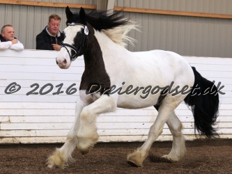 Cesar Arenlund 063