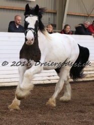 Cesar Arenlund 065