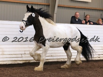 Cesar Arenlund 066