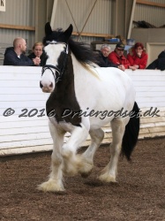 Cesar Arenlund 068
