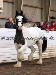 Cesar Arenlund 072