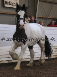 Cesar Arenlund 073
