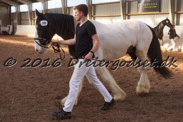 Cesar Arenlund 074