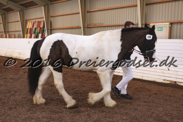Cesar Arenlund 075
