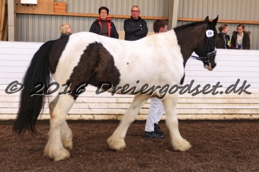 Cesar Arenlund 076