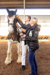Cesar Arenlund 078