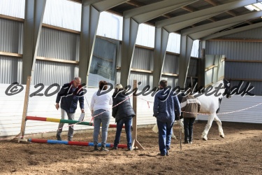  Amigo Skovbjergg  rd 023