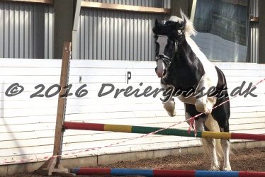  Amigo Skovbjergg  rd 029