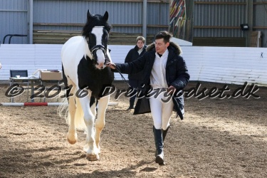  Amigo Skovbjergg  rd 036