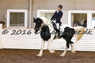  Amigo Skovbjergg  rd 038