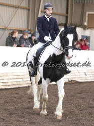  Amigo Skovbjergg  rd 039