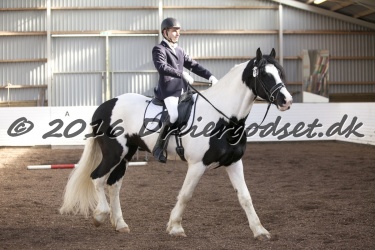  Amigo Skovbjergg  rd 040