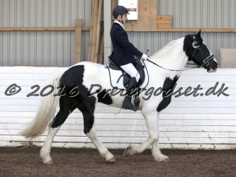  Amigo Skovbjergg  rd 041