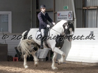  Amigo Skovbjergg  rd 042