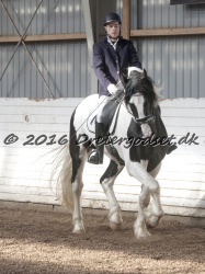  Amigo Skovbjergg  rd 043