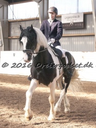  Amigo Skovbjergg  rd 044