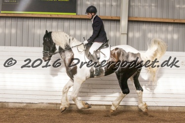  Amigo Skovbjergg  rd 045