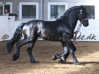 Hielke    van de Brink 010