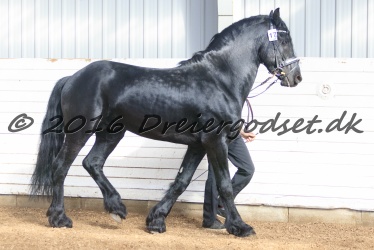 Hielke    van de Brink 036