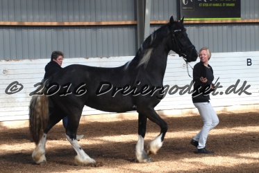 Freikje fan Stald Barok