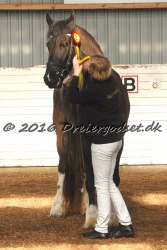 Freikje fan Stald Barok 010