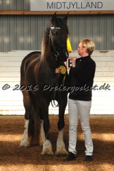 Freikje fan Stald Barok 011