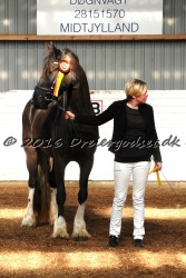 Freikje fan Stald Barok 012