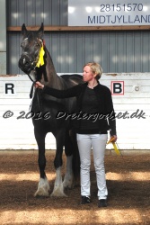 Freikje fan Stald Barok 013