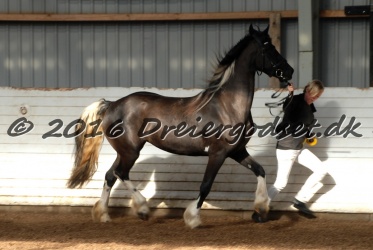 Freikje fan Stald Barok 015