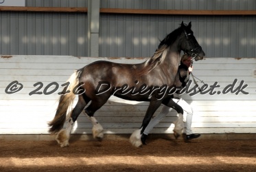 Freikje fan Stald Barok 016