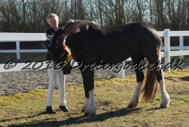 Freikje fan Stald Barok 020