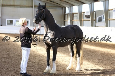 Freikje fan Stald Barok 024