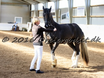 Freikje fan Stald Barok 025