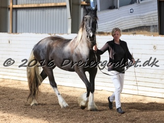 Freikje fan Stald Barok 027