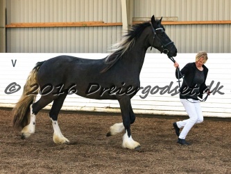 Freikje fan Stald Barok 030